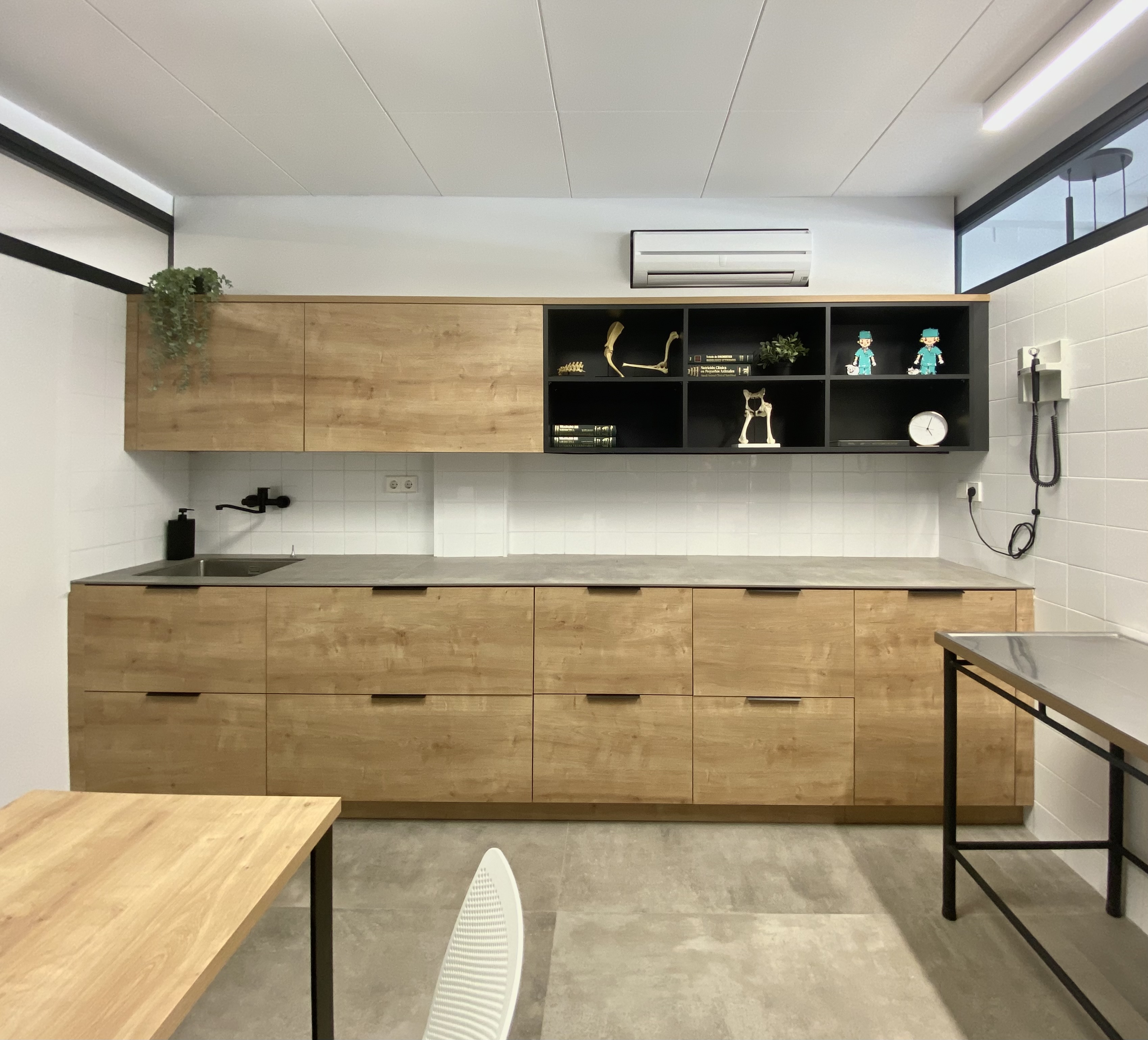 Centre Veterinari El Cadell - façana renovada